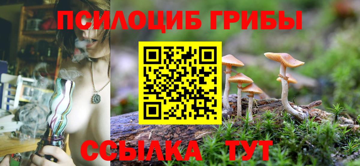 Псилоцибиновые грибы MAGIC MUSHROOMS  Вход с VPN  Галлюциногенные грибы мухоморы  Людиново 